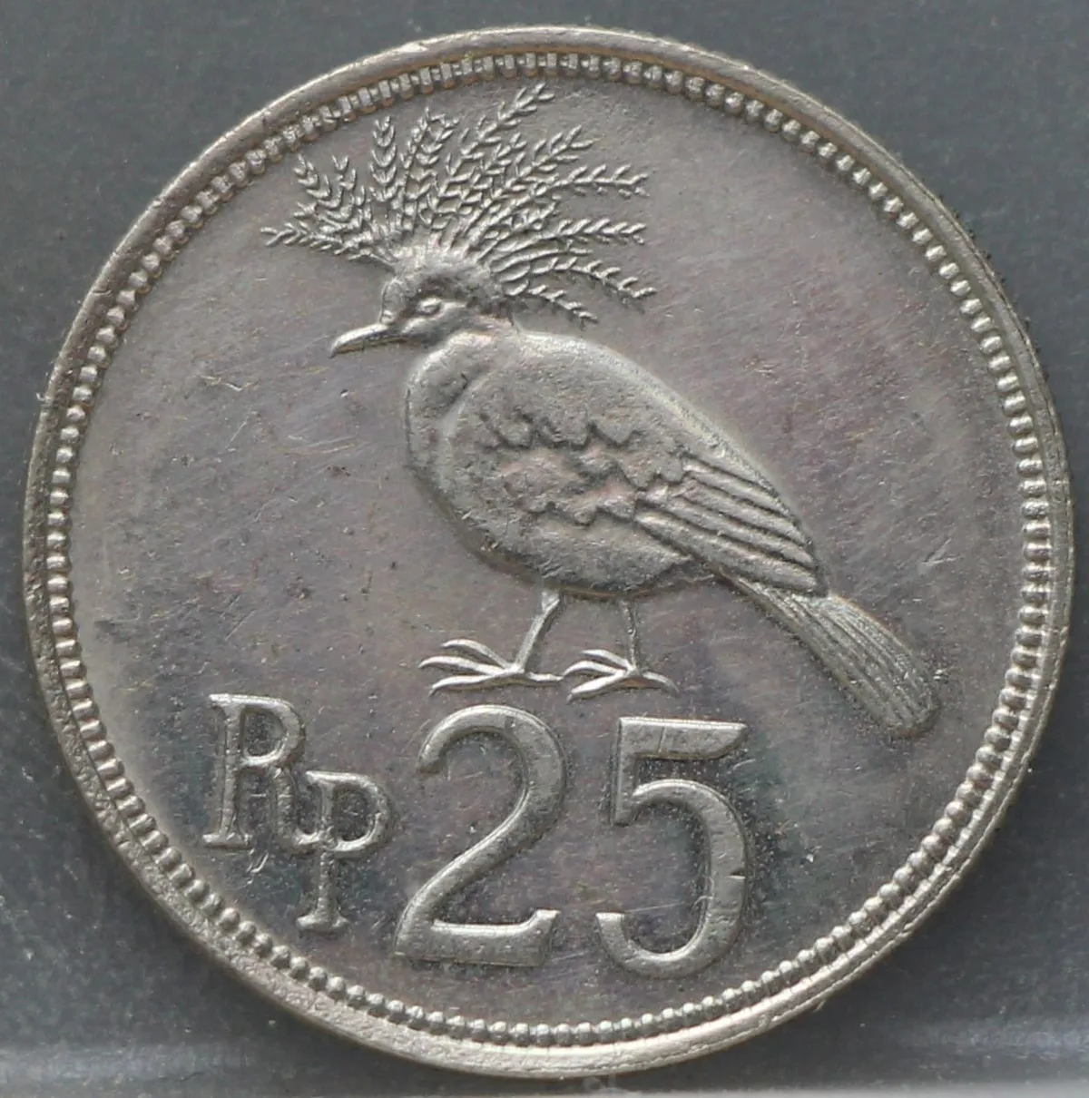 25 Rupiah 1971 Indonesië — Cupronikkel voorzijde